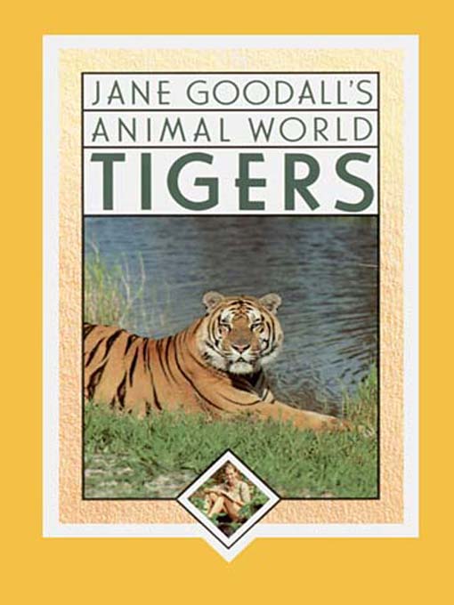 Cover image for Jane Goodall's Animal World:  Tigers